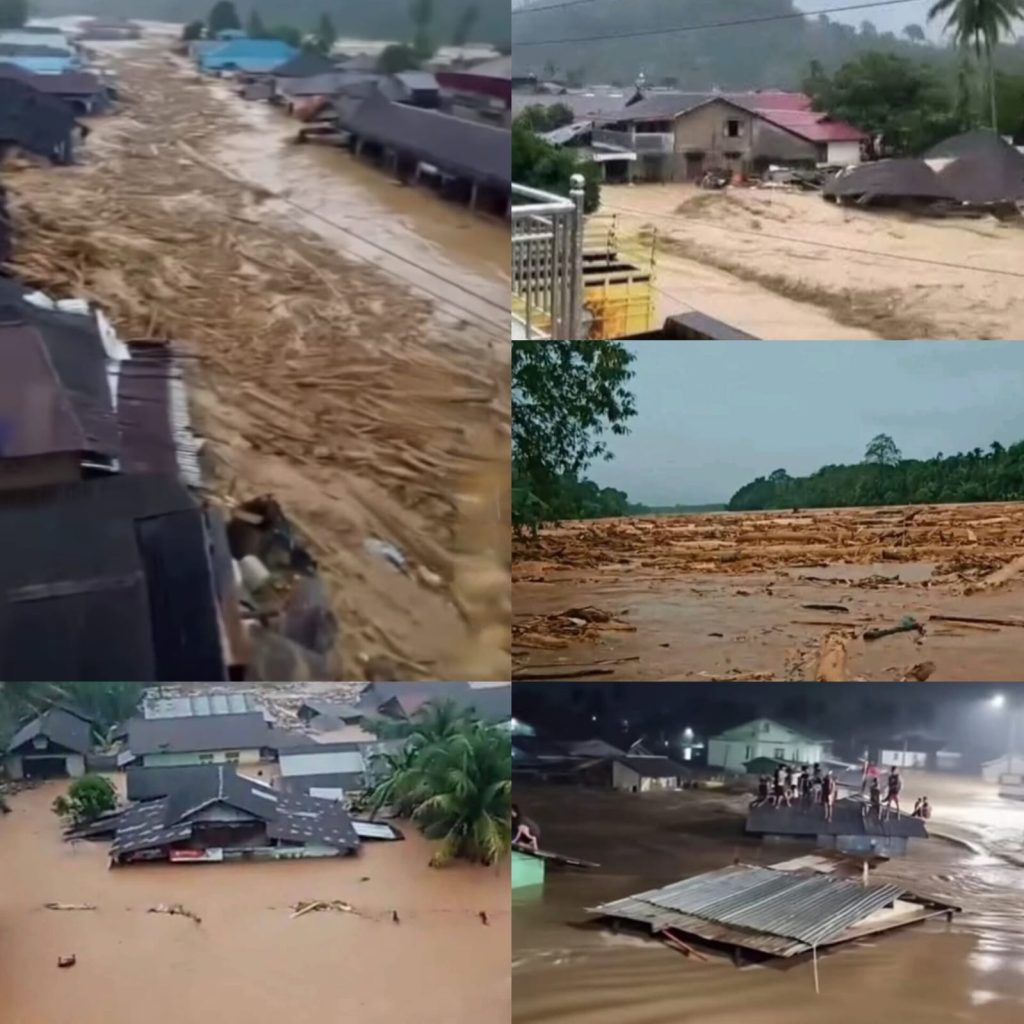 WhatsApp Image 2025 12 06 at 09.07.54 3